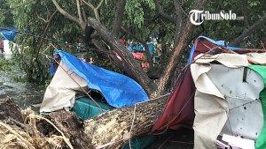 3-orang-tertimpa-pohon-tumbang-akibat-hujan-es-deras-disertai-angin-kencang-di-Alun-alun-Karanganyar.jpg