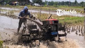 Balapan-traktor-di-Desa-Karangduren.jpg