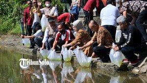 Bupati-Sukoharjo-Etik-Suryani-tengah-menyebarkan-benih-ikan-di-Desa-Juron-Nguter-Sukoharjo.jpg