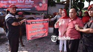DPC-PDIP-Sukoharjo-melaksanakan-penyembelihan-hewan-kurban-pada-Selasa-1862024.jpg