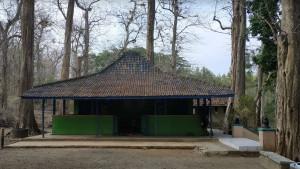 Foto-Hutan-Jati-Donoloyo-di-Wonogiri-Jawa-Tengah-beberapa-waktu-lalu.jpg
