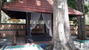 Foto-Hutan-Jati-Donoloyo-di-Wonogiri.jpg