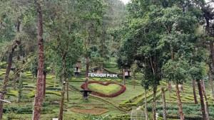 Gmaps-Sudut-taman-di-Tenggir-Park.jpg