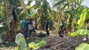 Mayat-pria-ditemukan-di-kebun-pisang-dekat-sungai-di-Dukuh-Karangturi-Polanharjo-Klaten.jpg