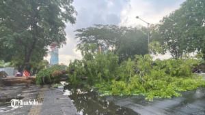 Peristiwa-itu-terjadi-saat-hujan-deras-disertai-angin-kencang-mengguyur-wilayah-tersebut.jpg