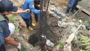Petugas-damkar-dan-TRC-BPBD-Boyolali-mengevakuasi-sapi-dari-dalam-septi-tank-di-Dukuh-Gedangan.jpg