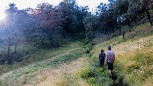 Pos-V-Bulak-Peperangan-Pendakian-Gunung-Lawu-via-Candi-Cetho.jpg
