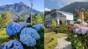 Spot-Instagramable-di-Merapi-Garden-Selo.jpg