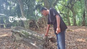 Suasana-di-Punden-Poleng-yang-ada-di-DukuhDesa-Poleng.jpg