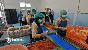Suasana-proses-penyiapan-MBG-di-SPPG-Kota-Barat-Solo-Jawa-Tengah-beberapa-waktu-lalu.jpg