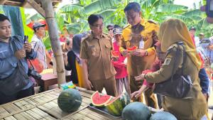 Wisata-petik-buah-di-klaten-hamenang.jpg