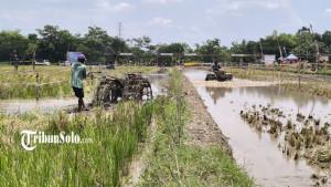 balap-traktor-di-klaten-nih.jpg