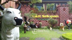 suasana-wisata-bukit-sekipan.jpg