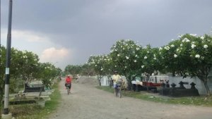 tpi-pracimaloyo_20171005_134951.jpg
