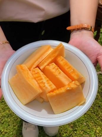Melon Manis di Green House Petani Kampung Desa Bugel Polokarto Sukoharjo