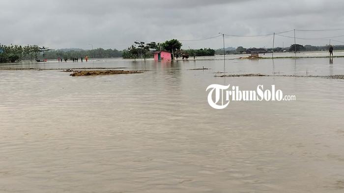 Banjir-merendam-area-persawahan-di-wilayah-Desa-Tangkil.jpg