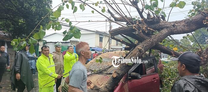 Ilustrasi-pohon-tumbang-menimpa-mobil-di-Kabupaten-Sukoharjo.jpg