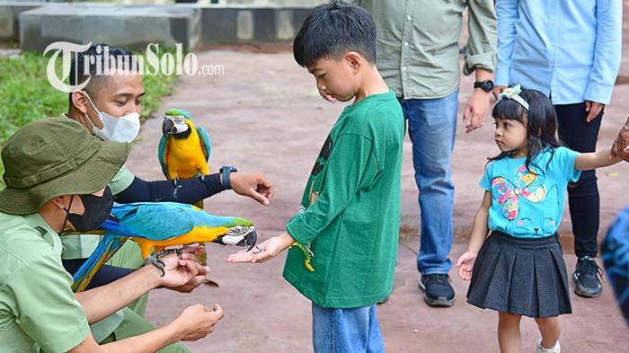 Pembangunan Fase 2 Solo Safari : Semakin Megah, Ada Aviary hingga Kuda Nil Jadi Satwa Penghuni Baru