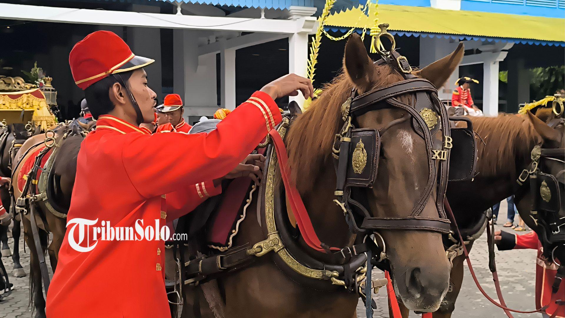 KUDA-SEWAAN-petugas-menata-perlengkapan-pada-kuda-penarik-kereta-kencana-Kirab-Jumenengan-PB-XIV.jpg