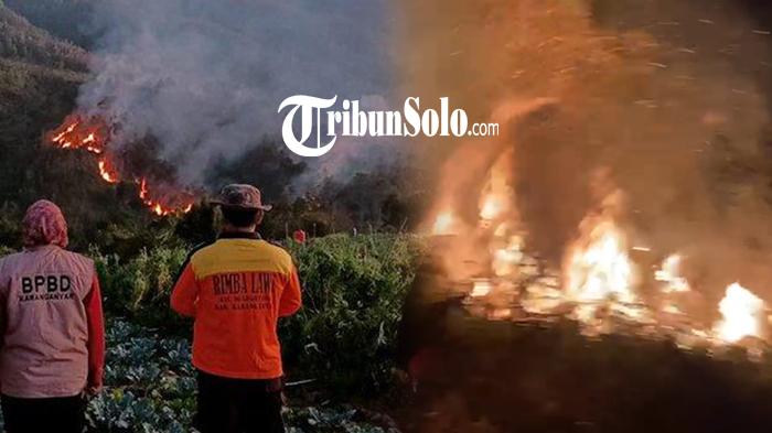 Kebakaran-Hutan-di-Gunung-Lawu-meluas.jpg