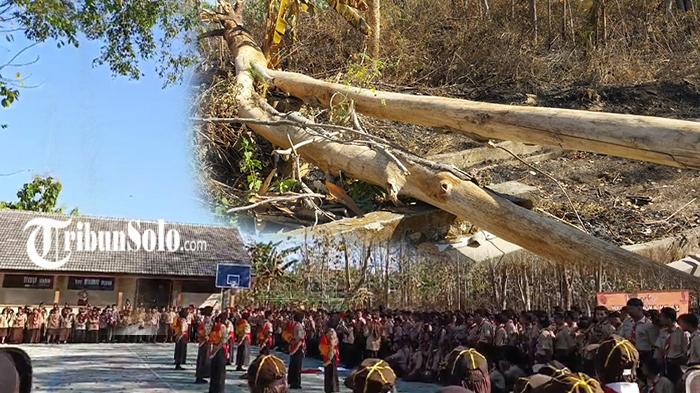 Pelajar di Wonogiri Jateng Tertimpa Pohon Tumbang saat Upacara, Jekek Sebut Murni Faktor Alam