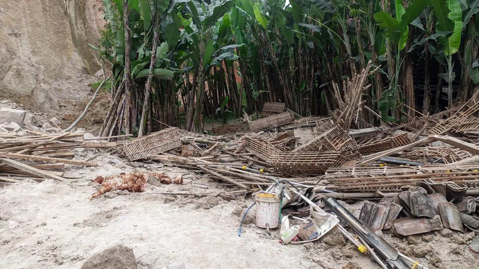 Kondisi-kandang-ayam-yang-ambruk-tertimpa-longsor-di-Dusun-Sekluwih-Tunggulrejo-Jumantono.jpg