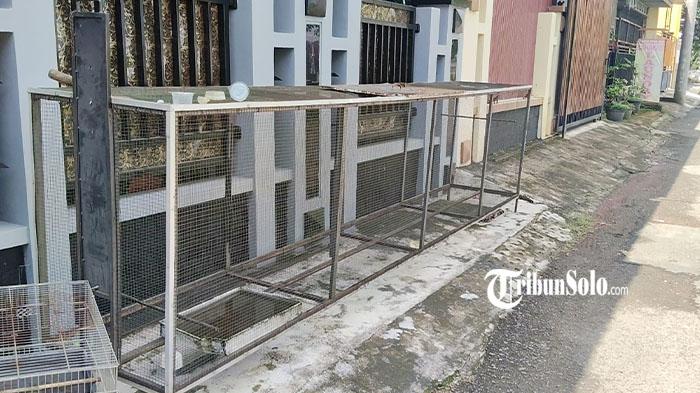 Nyesek! 3 Burung Murai Mahal Ikut Mati Terpanggang di Kebakaran 2 Rumah Perumahan Gaum Karanganyar