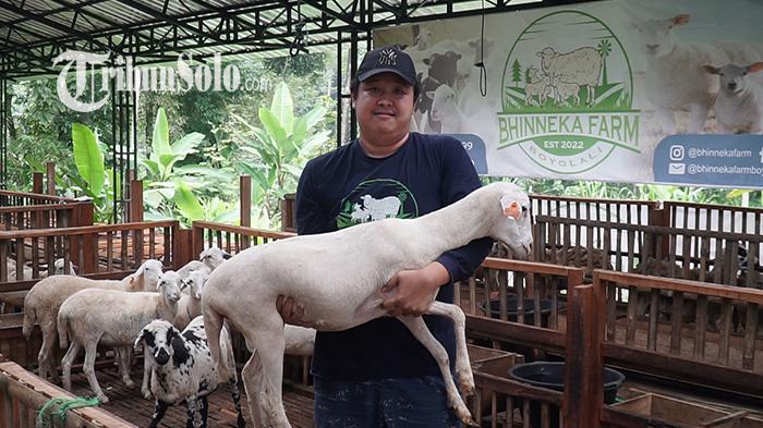 Mario-Febrianto-menunjukkan-domba-di-perternakan-miliknya-Bhenika-Farm-U.jpg