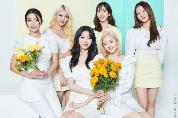 Pamor MOMOLAND Makin Meredup, 6 Membernya Tinggalkan Agensi MLD Entertainment, Bubar atau Lanjut?