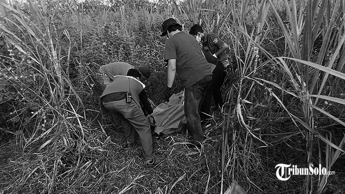Pamit Terakhir Ayah 57 Tahun, Meninggal di Kebun Tebu Sragen Jateng, Berjarak 200 Meter dari Rumah