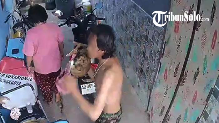 Kronologi Penganiayaan Kucing di Mojo Solo : Tahu Lauk Digondol, S Emosi, Banting Kucing Peliharaan