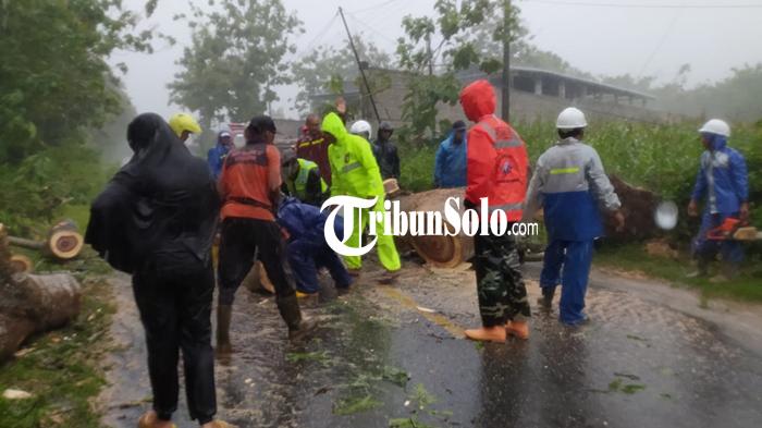 Pohon-tumbang-di-wilayah-Kecamatan-Pracimantoro.jpg