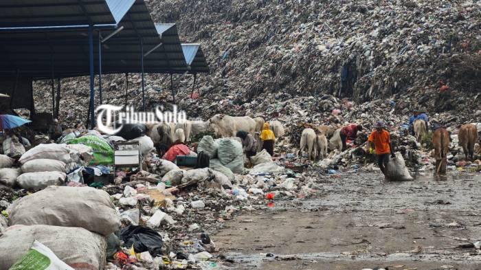 Open Dumping Disanksi, Ahli Usul Warga Diminta Pilah Sampah atau Tak Diambil