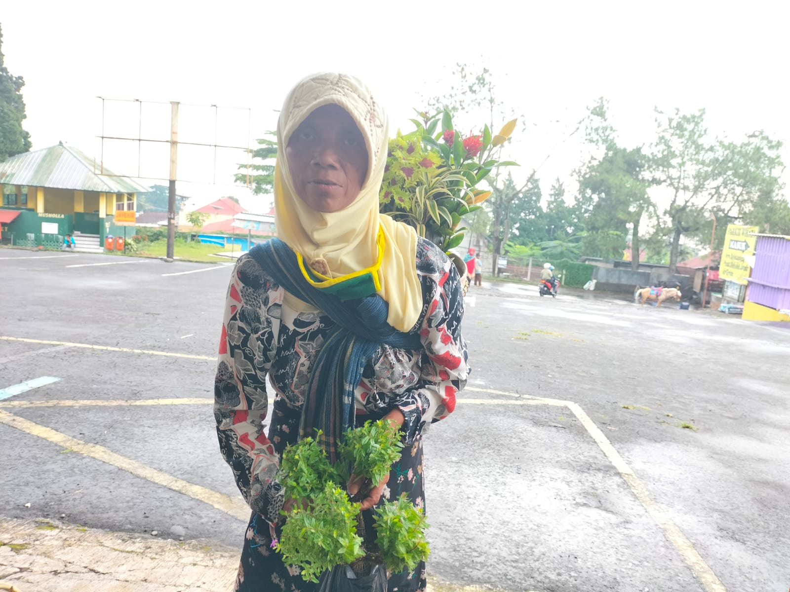 Tukiyem-penjual-tanaman-hias-keliling-asal-Desa-Nglurah-Tawangmangu-Karanganyar.jpg