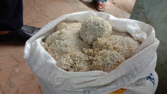 Geger Beras Bansos PPKM Mirip Gumpalan Batu, Perum Bulog Ungkap Penyebabnya