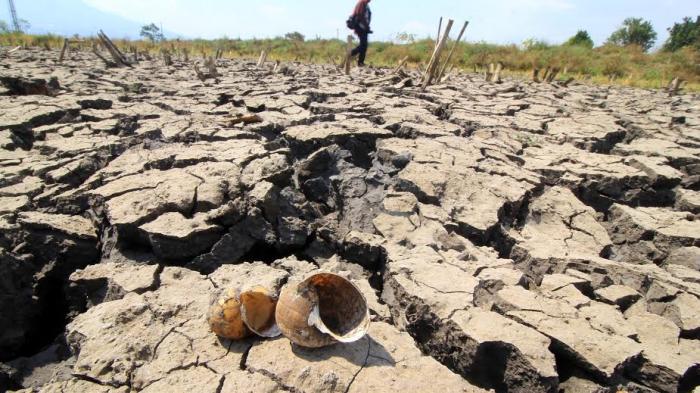Tak Hanya Sukoharjo dan Wonogiri, Warga di Klaten Juga Kesulitan Air Bersih, Dampak Kemarau Panjang