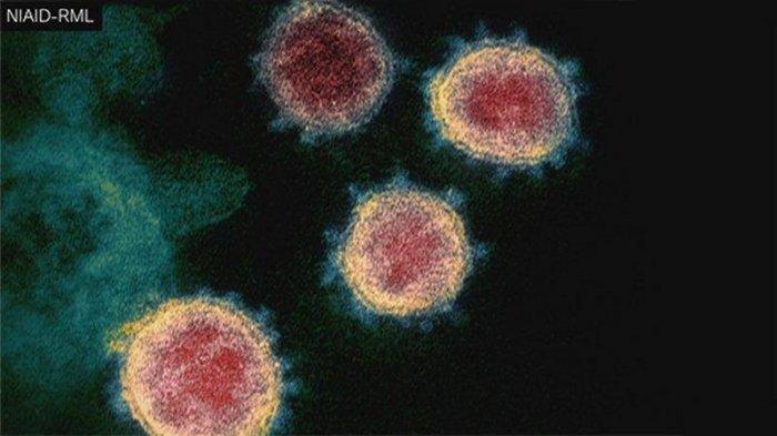 ilustrasi-varian-terbaru-virus-corona.jpg