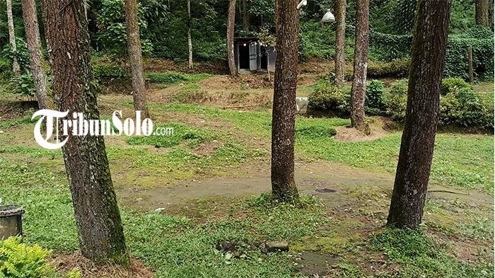 lokasi-pohon-tumbang-di-New-Sekipan-Karanganyar-yang-menyebabkan-korban-jiwa.jpg