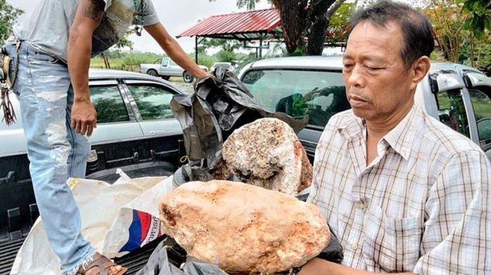 Nelayan Ini Ketiban Rezeki, Tak Sengaja Temukan Muntahan Paus 100 Kilogram, Bernilai 46 Miliar