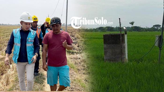 Cerita Petani di Sragen Bisa Panen Tiga Kali Setahun, Berkat PLN Aliri Listrik untuk Pompa Air