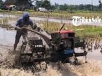 Balapan-traktor-di-Desa-Karangduren.jpg