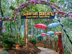 Bukit-Cinta-Watu-Prahu-di-Desa-Gunung-Gajah-Kecamatan-Bayat.jpg