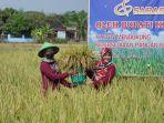 Bupati-Klaten-Sri-Mulyani-bersama-petani-Desa-Bowan.jpg