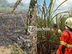 Damkar-kebakaran-tebu.jpg