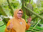 Dani-Ika-Susilawati-petani-Durian-di-Kedawung-Sragen.jpg