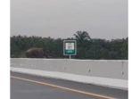 Gajah-Sumatera-menyeberang-di-Tol-Pekanbaru-Dumai-Minggu-19112023.jpg