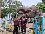Gajah-di-Taman-Satwa-Waduk-Gajah-Mungkur-Wonogiri-saat-berinteraksi.jpg