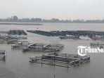 Karamba-Waduk-Mulur-Bendosari-Sukoharjo-yang-ditemukan-puluhan-ribu-ikan-mati-mendadak.jpg