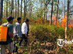 Kebakaran-lahan-di-sragen.jpg