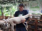 Mario-Febrianto-menunjukkan-domba-di-perternakan-miliknya-Bhenika-Farm-U.jpg